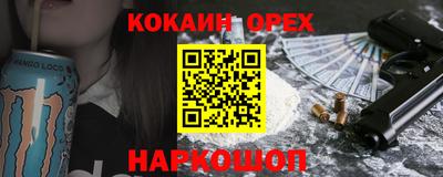 СК Новодвинск