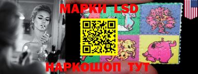 СК Новодвинск