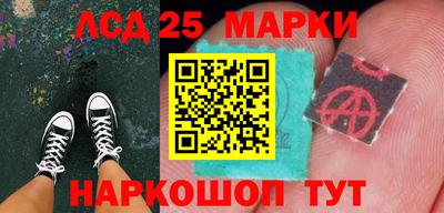 СК Новодвинск