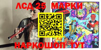 СК Новодвинск