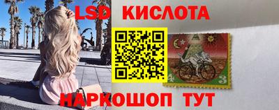 СК Новодвинск