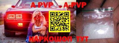 СК Новодвинск